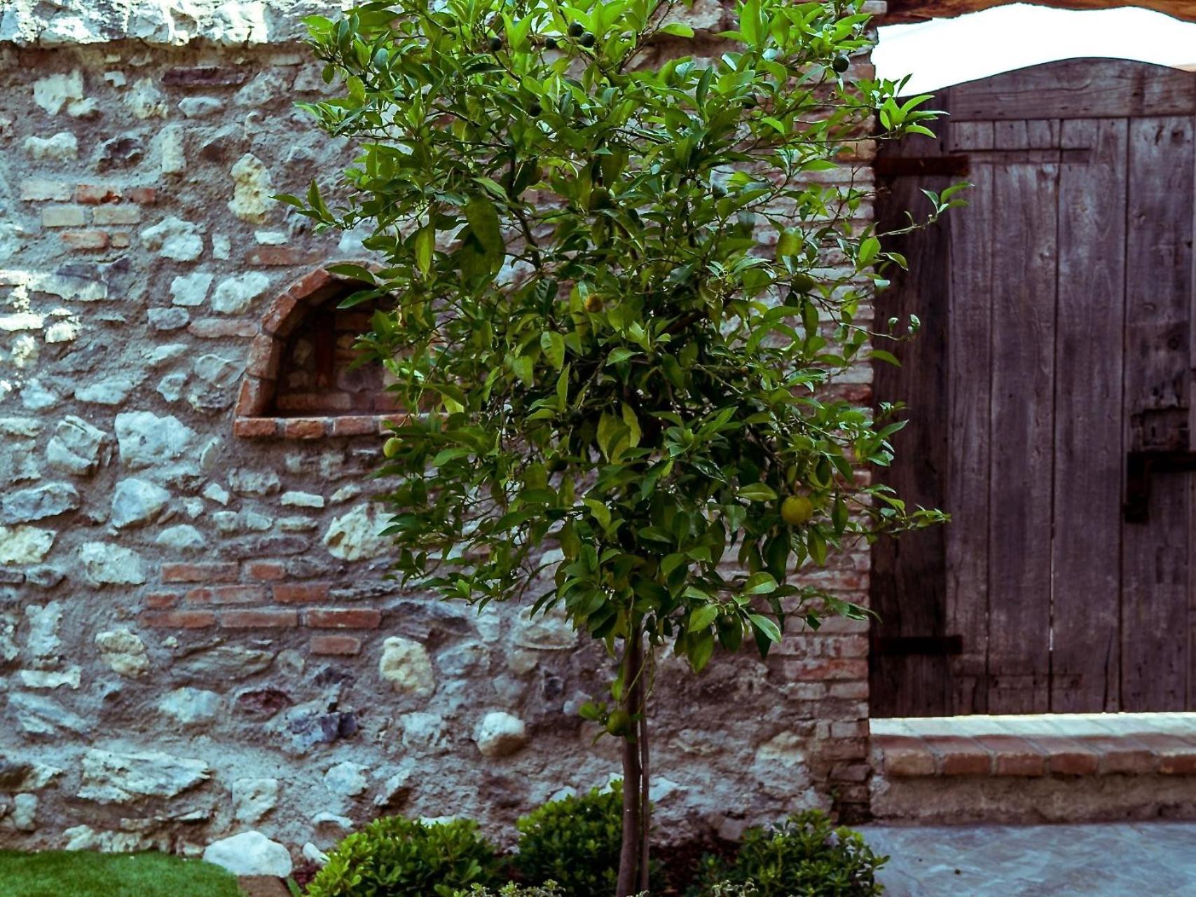 Villa Fontanelle Gardapartments Polpenazze del Garda Luaran gambar
